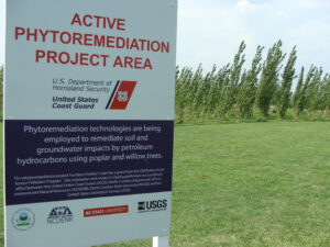 Active Phytoremediation sign - College of Natural Resources at NC State University