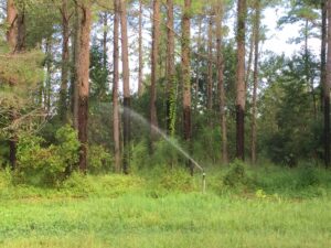 A sprinkler watering trees - Current Research - College of Natural Resources at NC State University