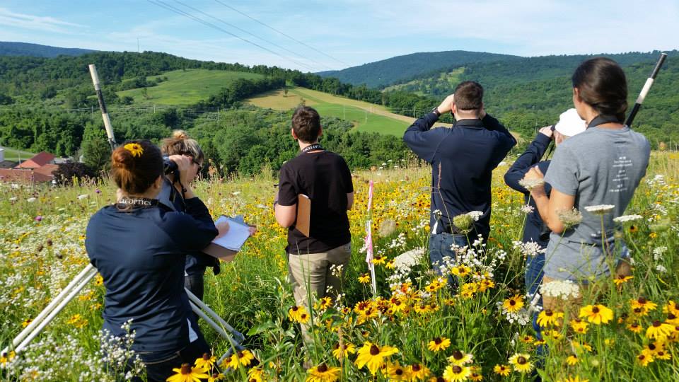 Students examine a field - The Larson Lab @ NCSU - College of Natural Resources at NC State University