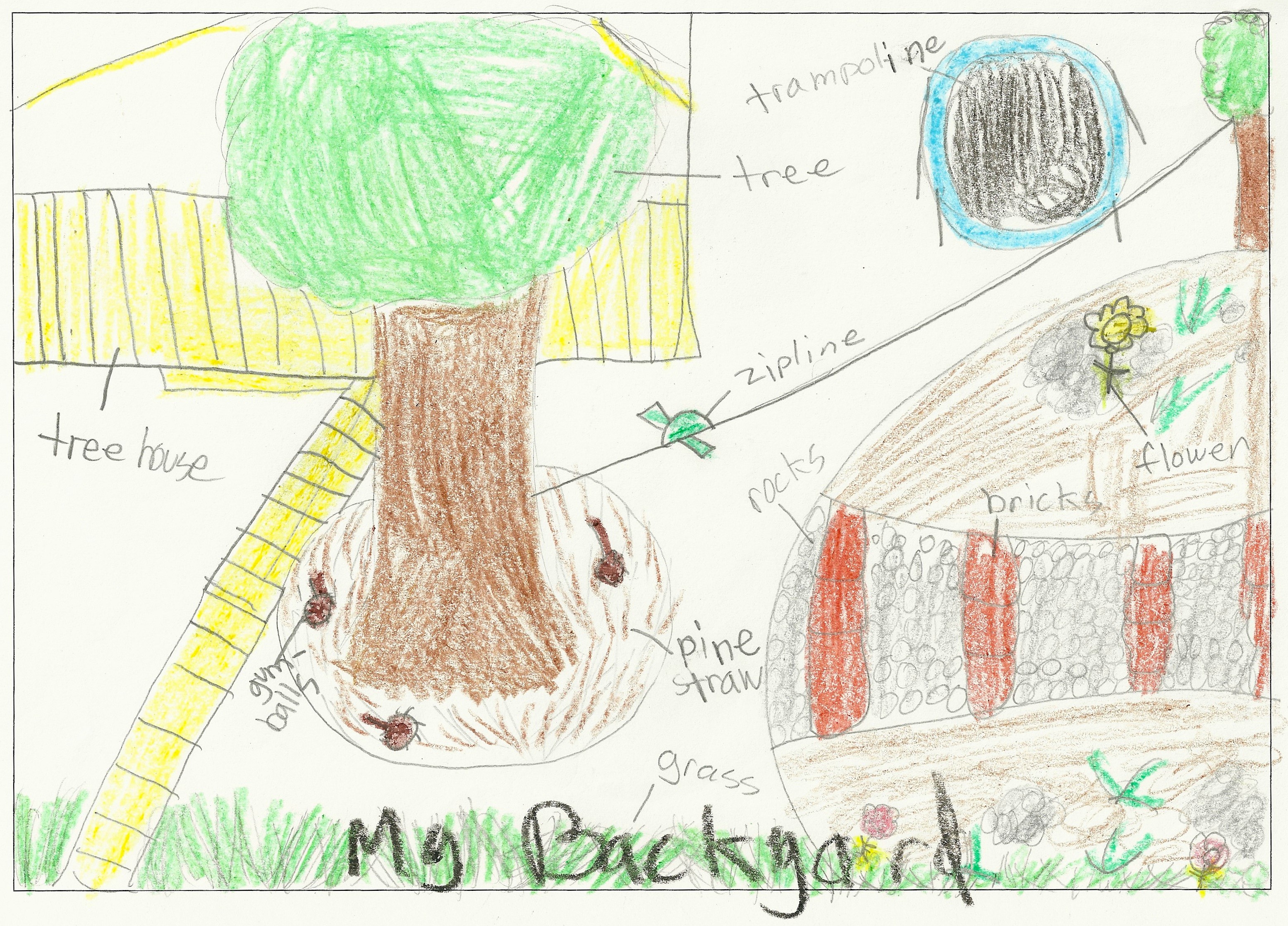 Drawn backyard ecosystem - The Larson Lab @ NCSU - College of Natural Resources at NC State University