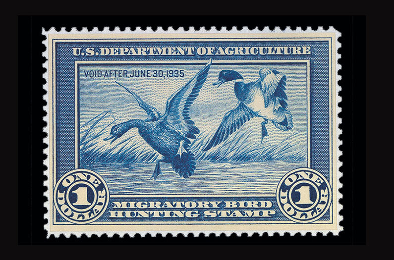 Migratory Bird Hunting Stamp - The Larson Lab @ NCSU - College of Natural Resources at NC State University