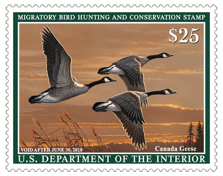 Migratory Bird Hunting and Conservation Stamp - The Larson Lab @ NCSU - College of Natural Resources at NC State University
