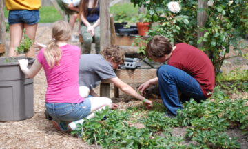 Students plant bushes - The Larson Lab @ NCSU - College of Natural Resources at NC State University