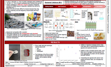 Emily's research poster - Lavoine Research Group - College of Natural Resources at NC State University